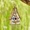Set of 2 9.5''H Distressed Solid Wood Decorative Outdoor Garden Birdhouse with Natural Wood Slatted Roof and 3D Tree